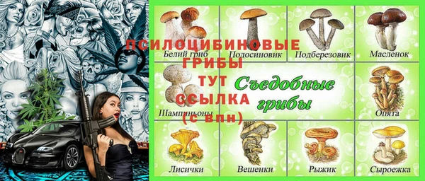 ECSTASY Абинск
