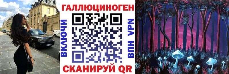 Галлюциногенные грибы Psilocybe купить наркотики сайты Десногорск